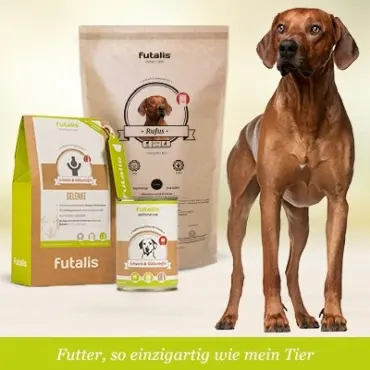 Welches Futter für Rhodesian Ridgeback?