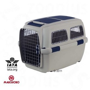 IATA Flugbox für Rhodesian Ridgeback
