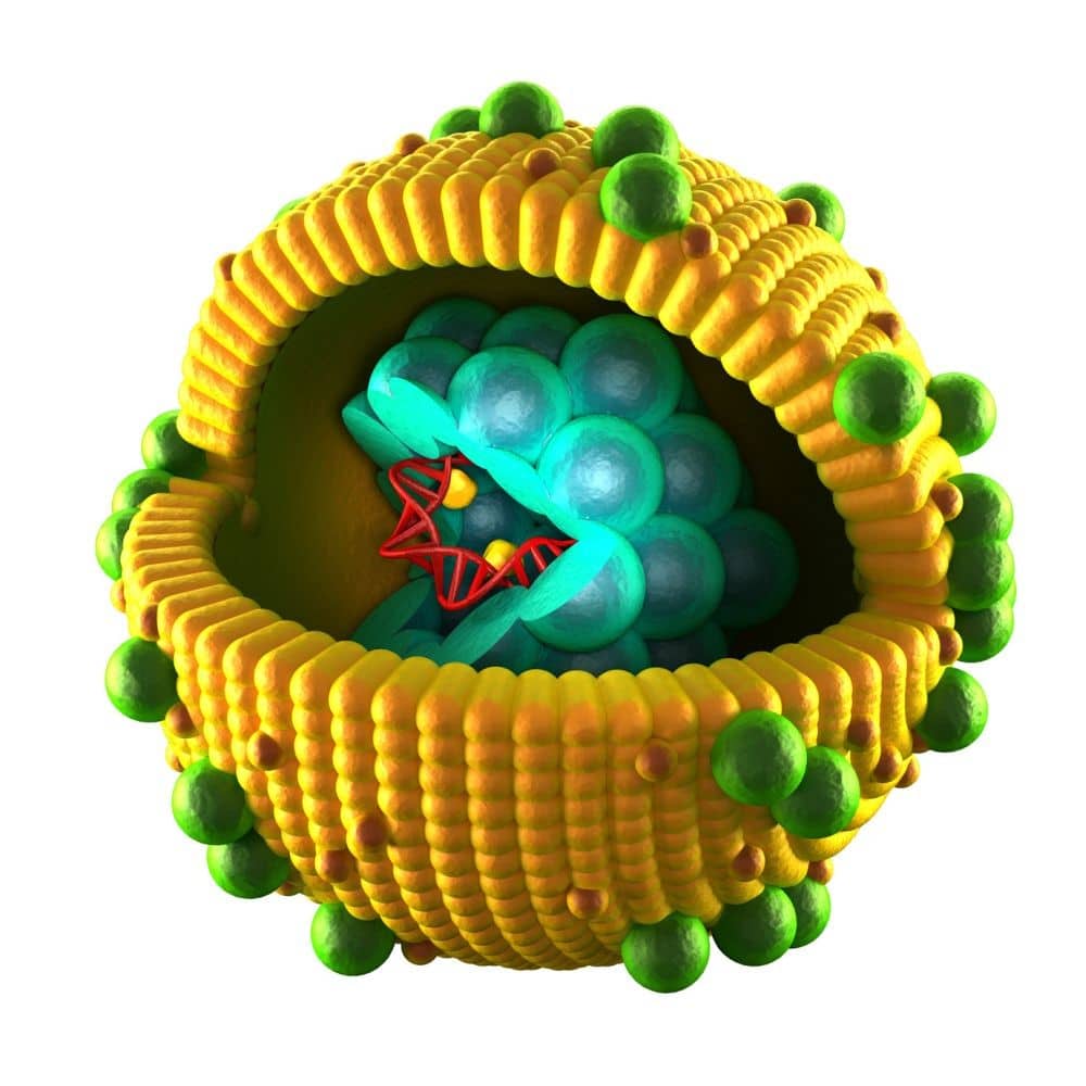Hepatitis Virus Grafik