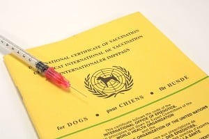 Impfungen werden in den Impfpass eingetragen