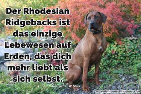 Rhodesian Ridgeback Zitate und Sprüche RhodesianRidgeback.de