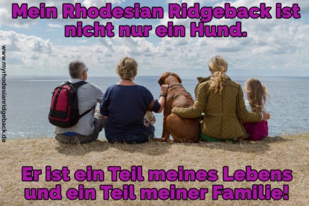 Rhodesian Ridgeback Zitate und Sprüche RhodesianRidgeback.de