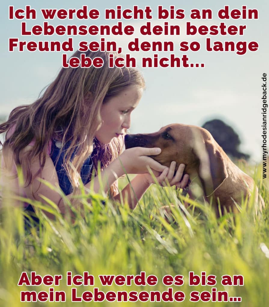 Rhodesian Ridgeback Zitate und Sprüche RhodesianRidgeback.de