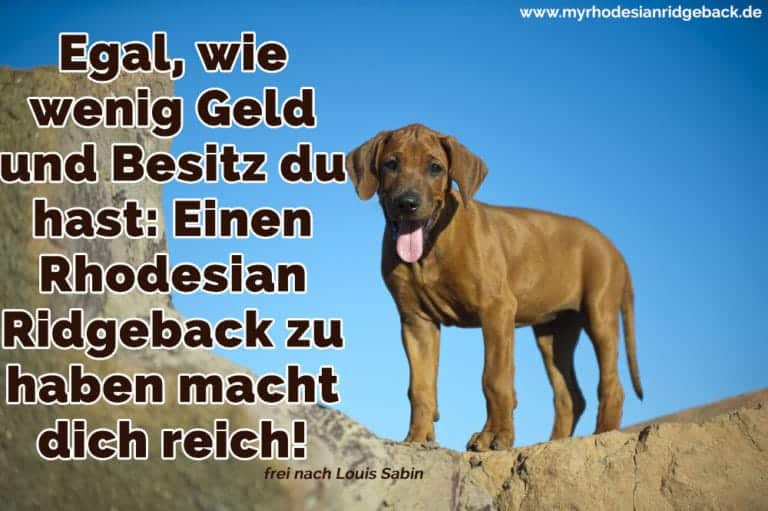 Rhodesian Ridgeback Zitate und Sprüche RhodesianRidgeback.de