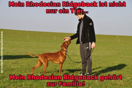 Rhodesian Ridgeback Zitate und Sprüche RhodesianRidgeback.de