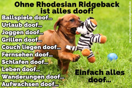 Rhodesian Ridgeback Zitate und Sprüche RhodesianRidgeback.de