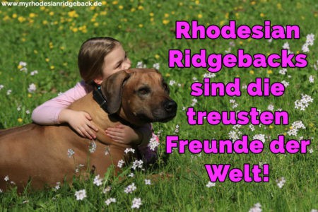 Rhodesian Ridgeback Zitate und Sprüche RhodesianRidgeback.de