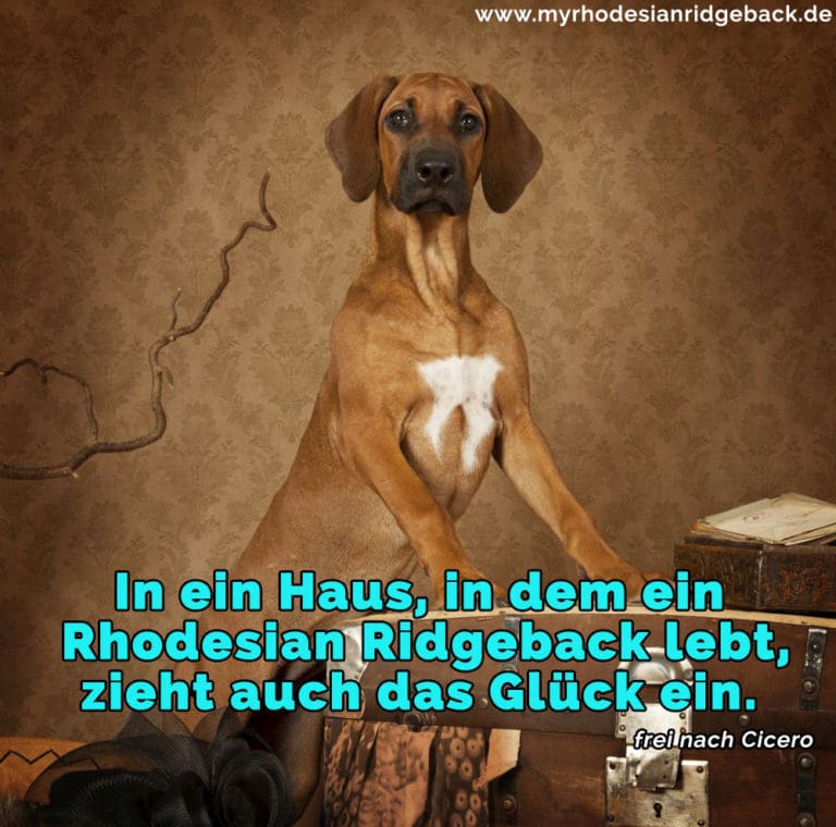 Rhodesian Ridgeback Zitate und Sprüche RhodesianRidgeback.de
