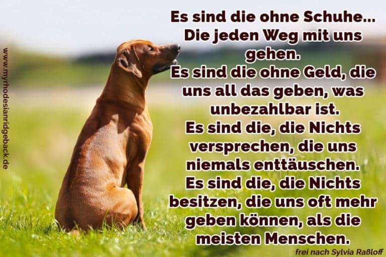 Rhodesian Ridgeback Zitate und Sprüche RhodesianRidgeback.de
