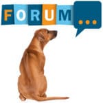 Rhodesian-Ridgeback Forum - Fragen und Antworten zum Rhodesian-Ridgeback