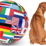 Rhodesian Ridgebback Züchter in aller Welt