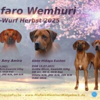 Wurfplanung Herbst 2025