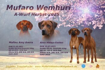 Wurfplanung Herbst 2025