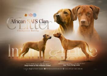 African SAI‘S Clan Cianga Wurf