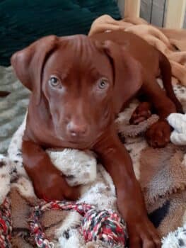 Miniaturansicht für das Anzeigenbild