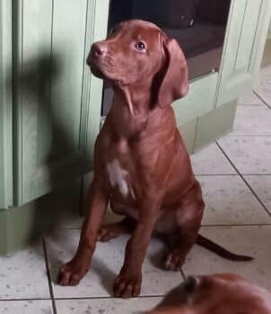 Miniaturansicht für das Anzeigenbild