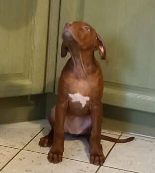 Miniaturansicht für das Anzeigenbild