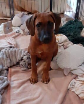 Miniaturansicht für das Anzeigenbild