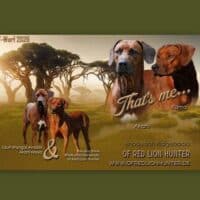 Wurfplanung Februar 2026