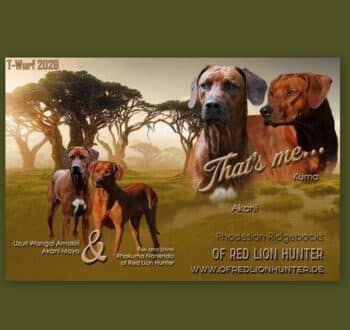 Wurfplanung Februar 2026