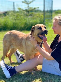 Ramune: Weibchen • geb.ca. 2015-2017 • 55cm • Handicap