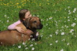 Mädchen umarmt Australian Ridgeback in der Blumenwiese